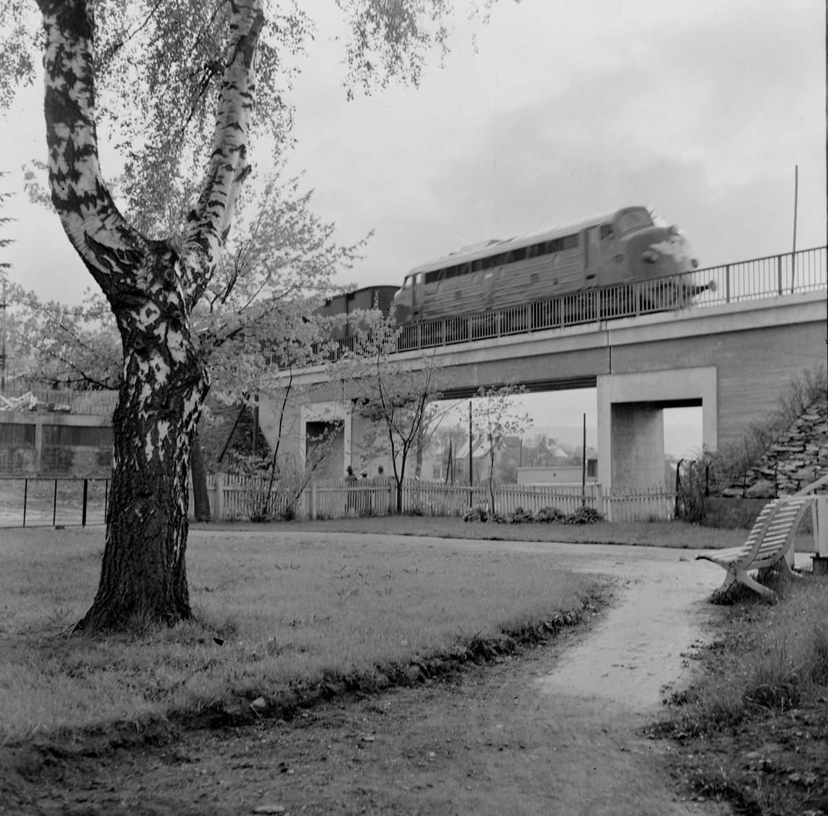 Åpning av Stavne - Leangenbanen