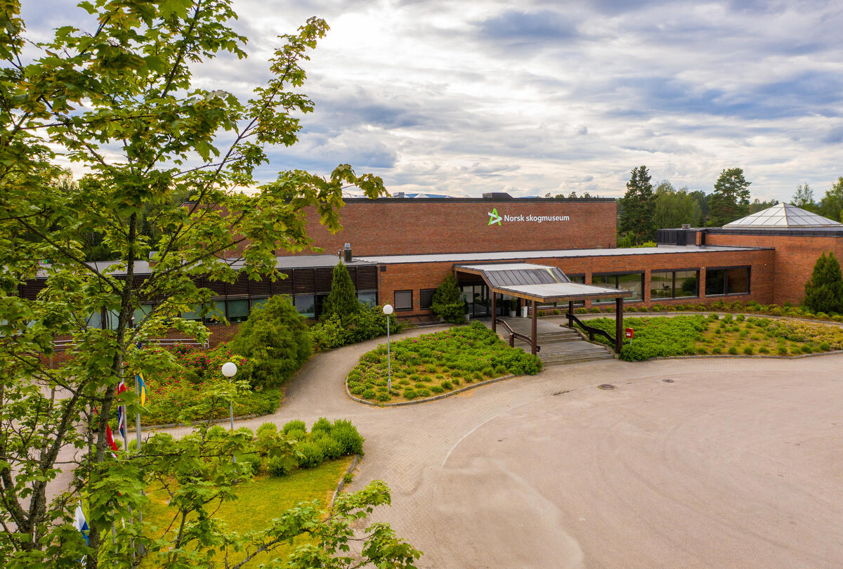 Dronebilde tatt ved inngangspartiet til Norsk skogmuseum