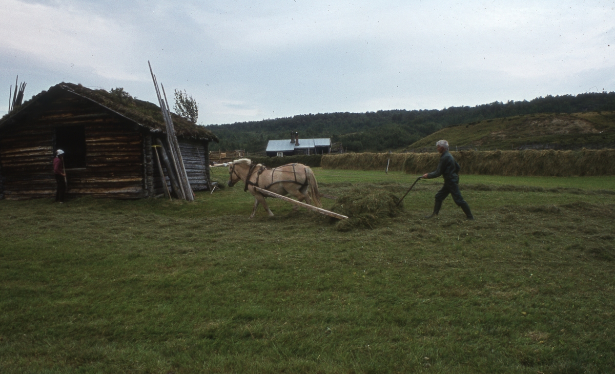 Slåttonn Magnillsjøan