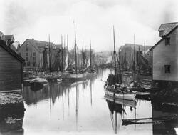 Prot: Aalesund - Fiske Indre Havn 26. Sep. 1902