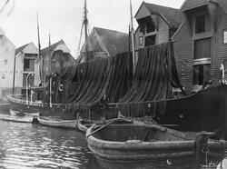 Prot: Stavanger - Fiskedamper tørkende Garn 14/6 1905