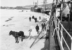 Prot: Isskjæring i Drammensfjorden Dampskibe 16/3