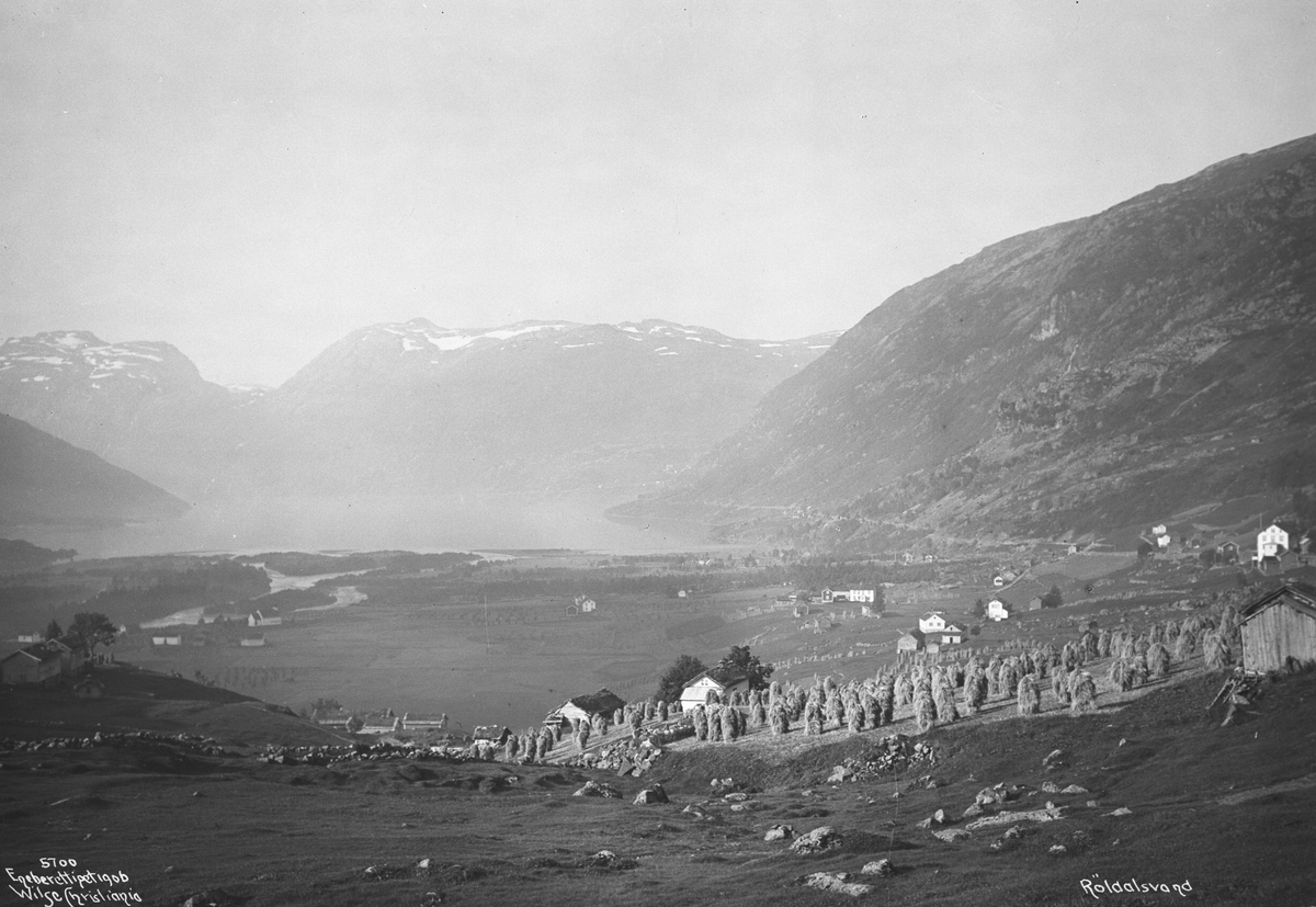 Høy til tørk i høysåter/høystakker på gården med utsyn ut over Røldalsvann. Fotografert i september 1906.