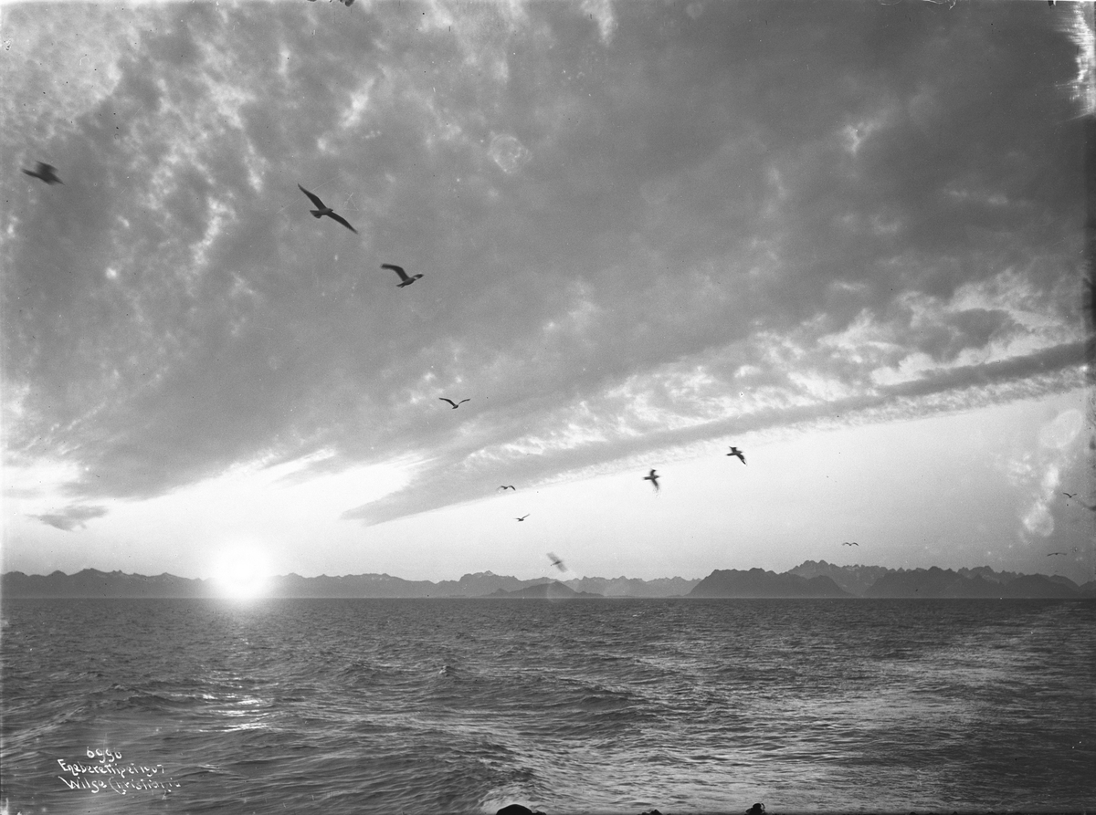 Midnattsol over Lofotveggen sett fra Lyngen. Fotografert i 1907.