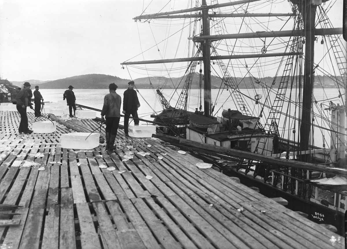 Innlastning av isblokker i skip. Kragerø, 14. februar 1908.