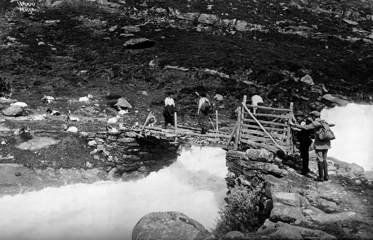 Fjellvandrere krysser bro over fossestryk ved Østerbø i Aurlandsdalen, Sogn og Fjordane, 1914.