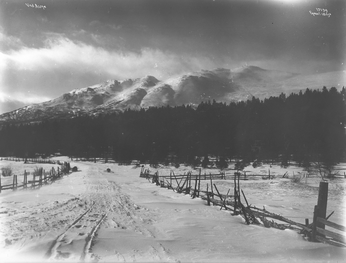 Aune, Oppdal, Trøndelag, 1915.