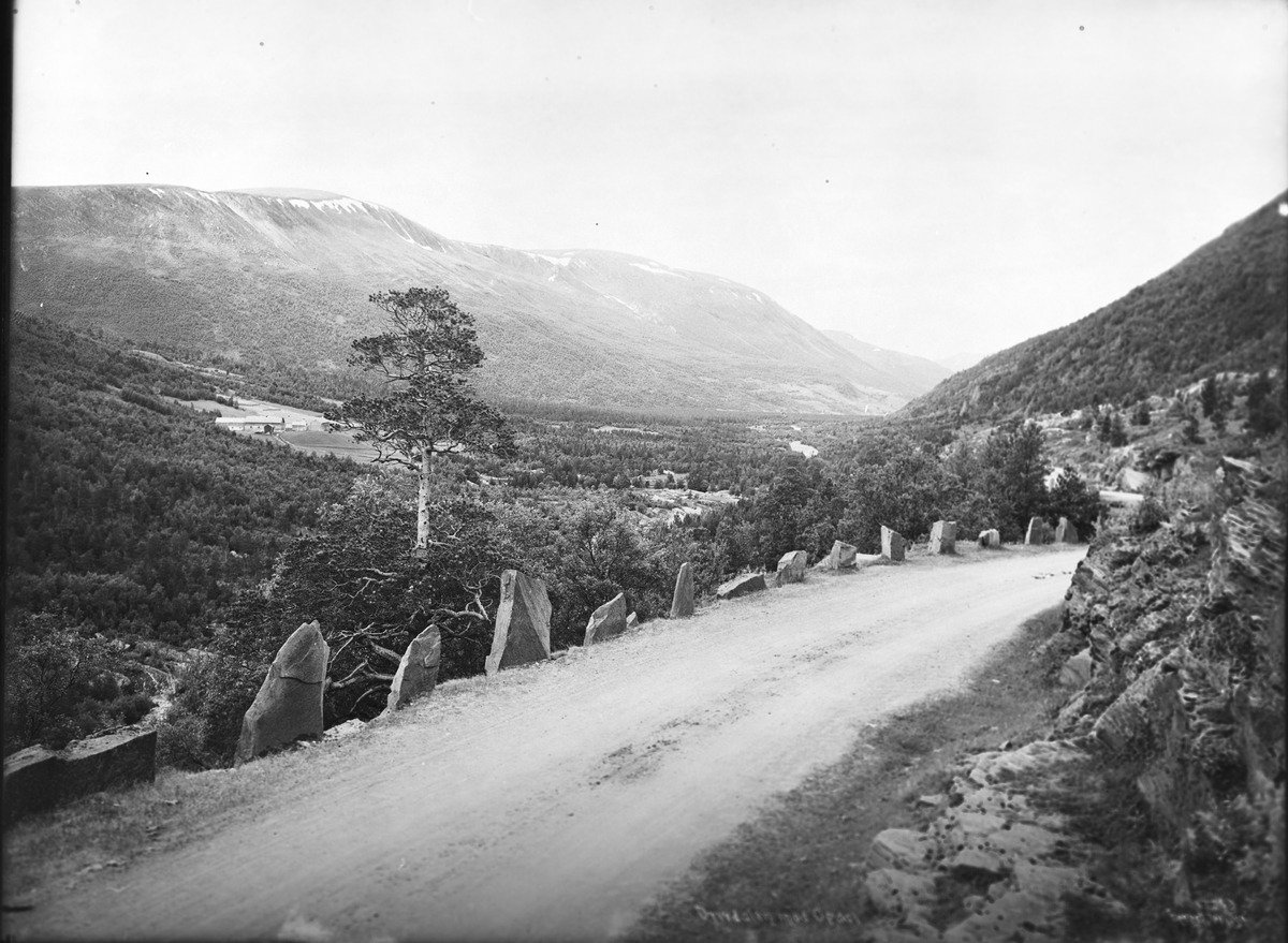 Utsikt ned Drivdalen (nordover, retning Oppdal), Oppdal, Trøndelag, 1915.