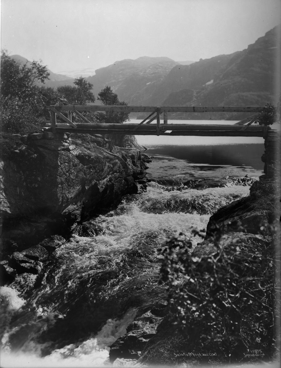 Elvestryk i Seltuftvatnet, Myrdal, Aurland, Sogn og Fjordane, 1915.