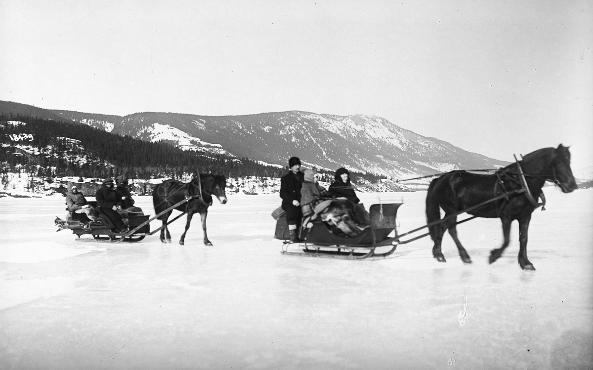 Sleder med passasjerer trukket av hester på isen, 1916.