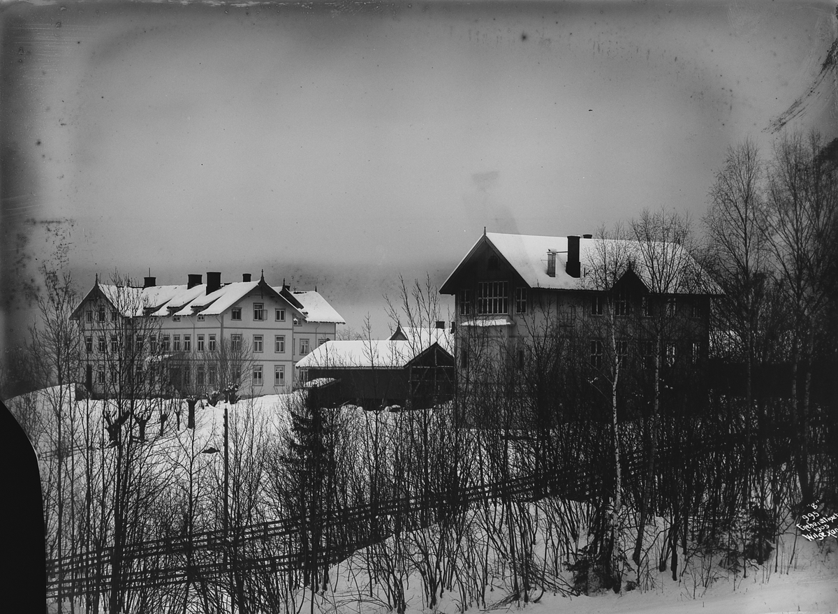 Bak trærne ligger Hartmanns Pensionatskole, med hovedhus, låve og uthus.