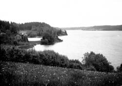 Prot: Aas Herred Udsigt fra Sundbakkene