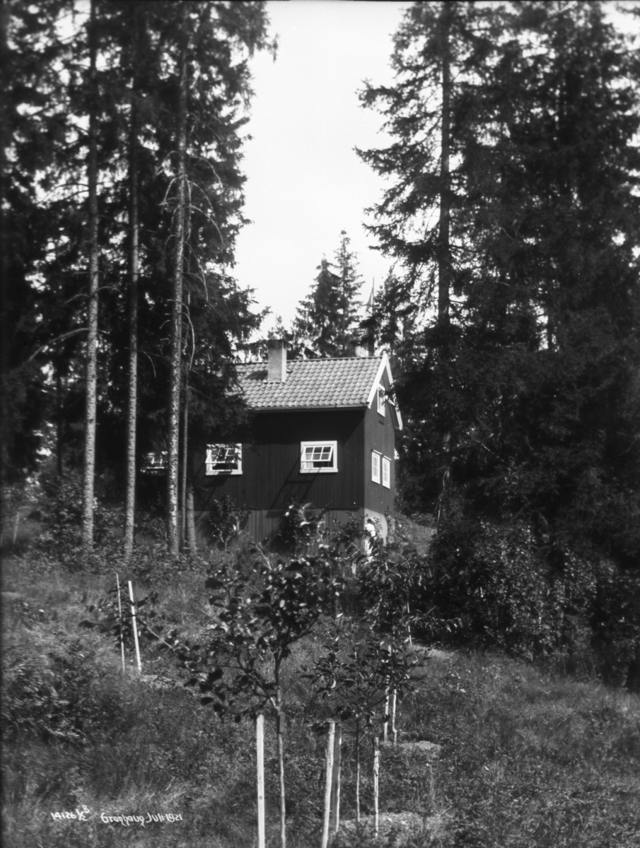Granhaug hus, hage og store trær.