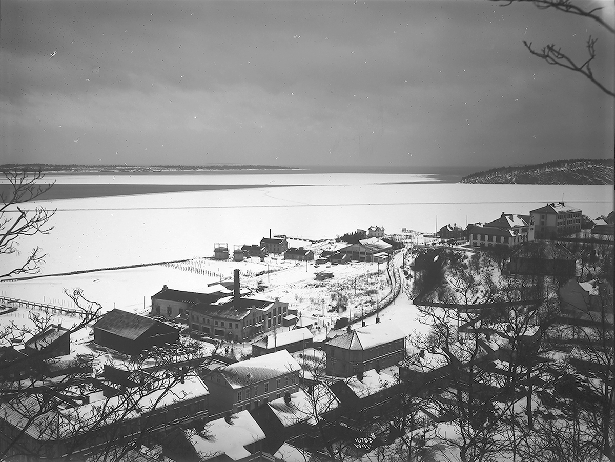 Godstog kjøre med mange vogner lastet med ant. aluminium inn mot Holmestrand. Norsk Aluminiumindustri. Fotografter 1923.