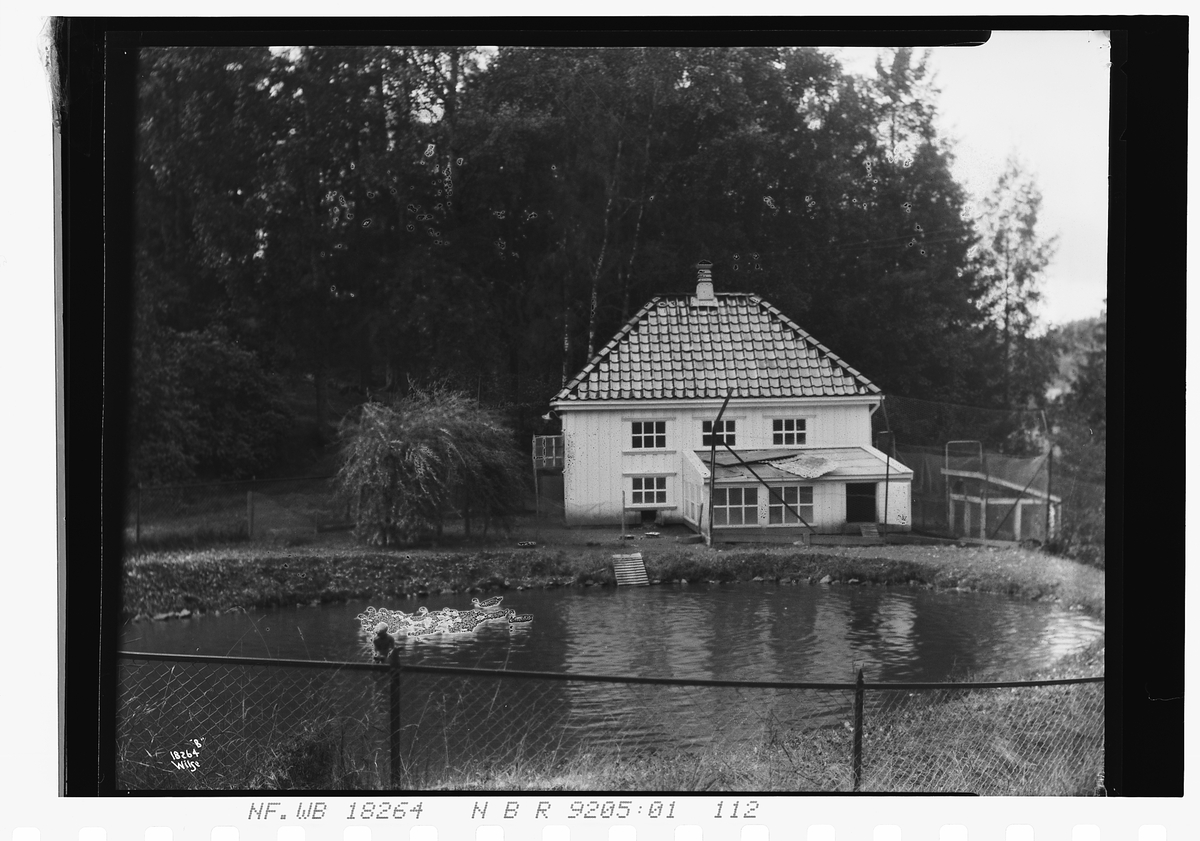 Andedam med hus for ender, Ekeberg gård. Fotografert 1924.