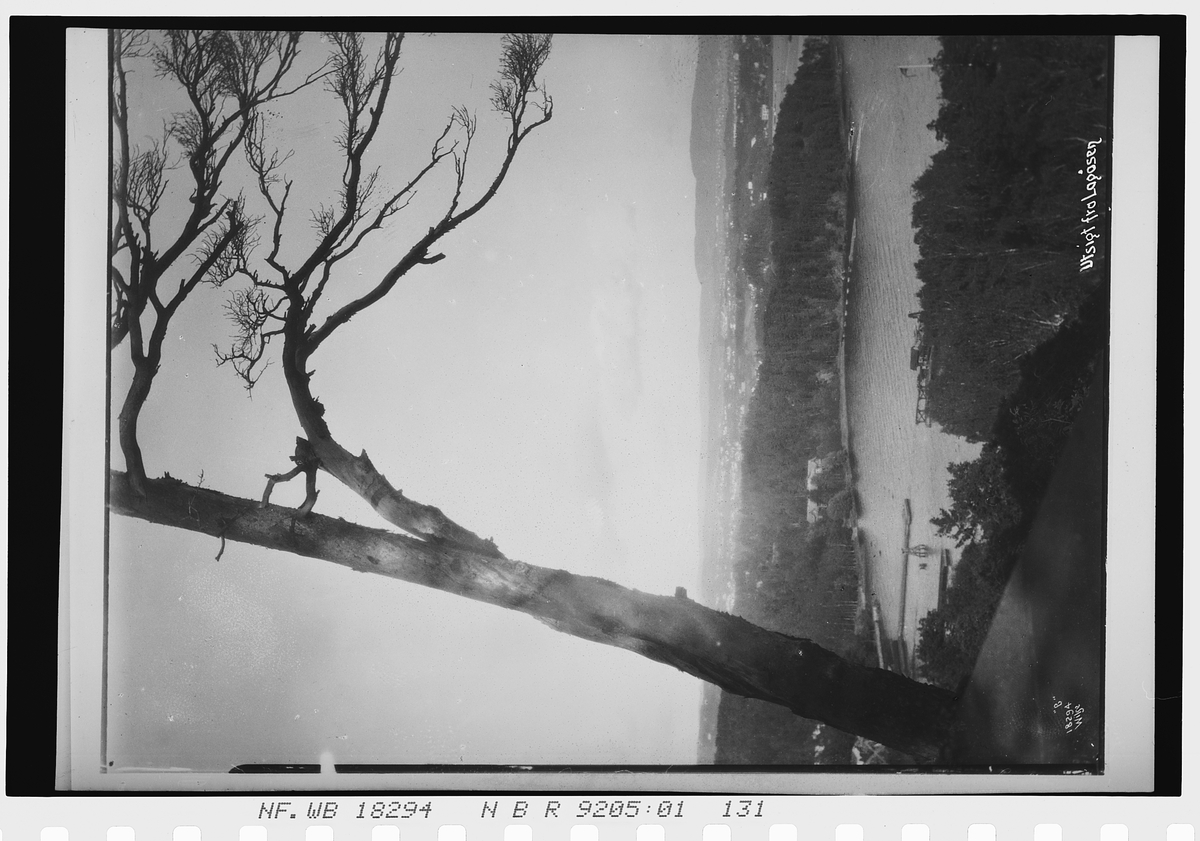 Utsikt fra Langåsen over sjøen mot Bestumkilen. Fotografert 1924.