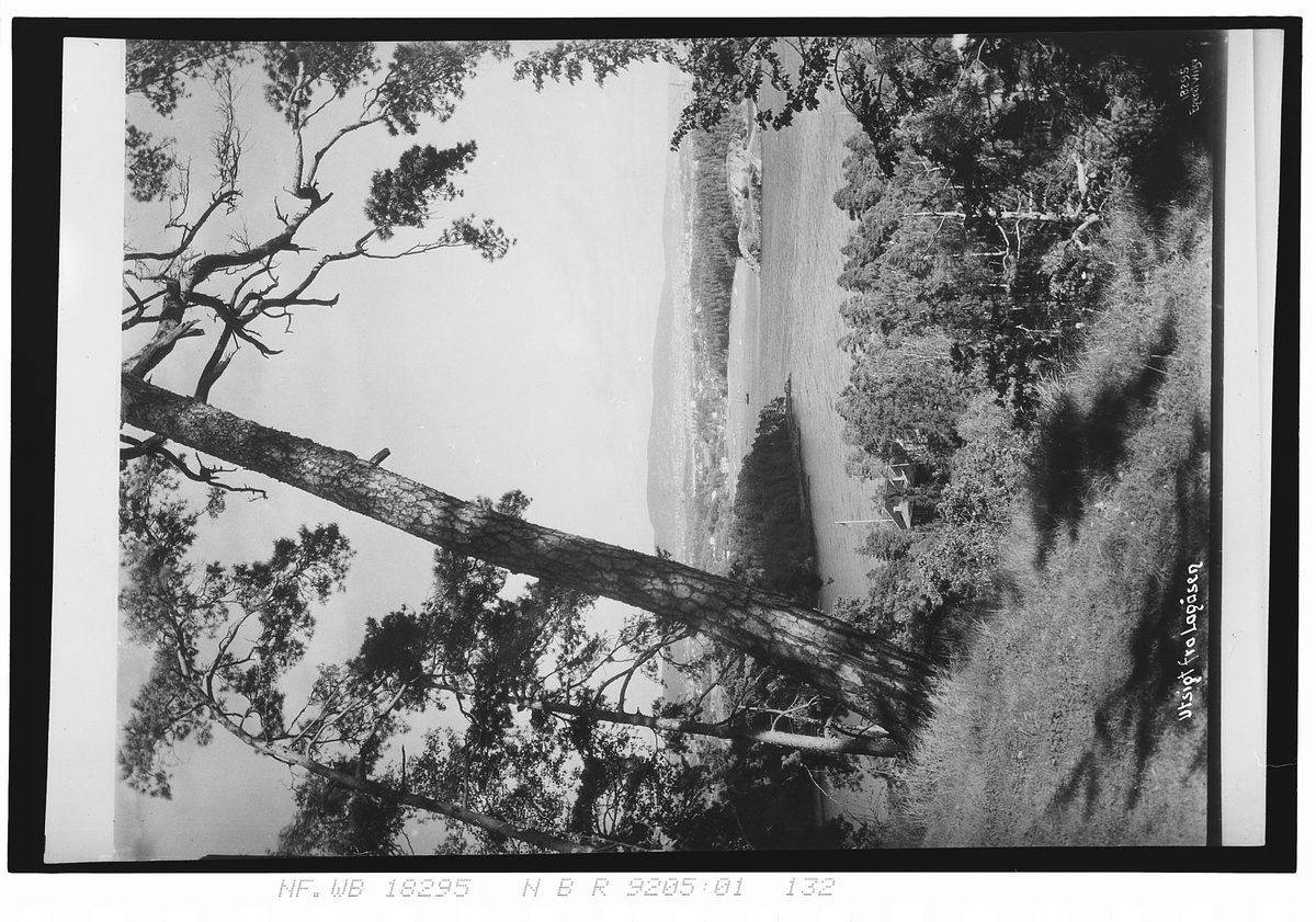 Utsikt fra Langåsen over sjøen mot Bestumkilen. Fotografert 1924.