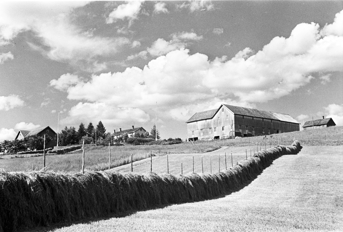 Storgård på Snåsa, høyonna er avsluttet, høyet henger til tørk på hesjene.