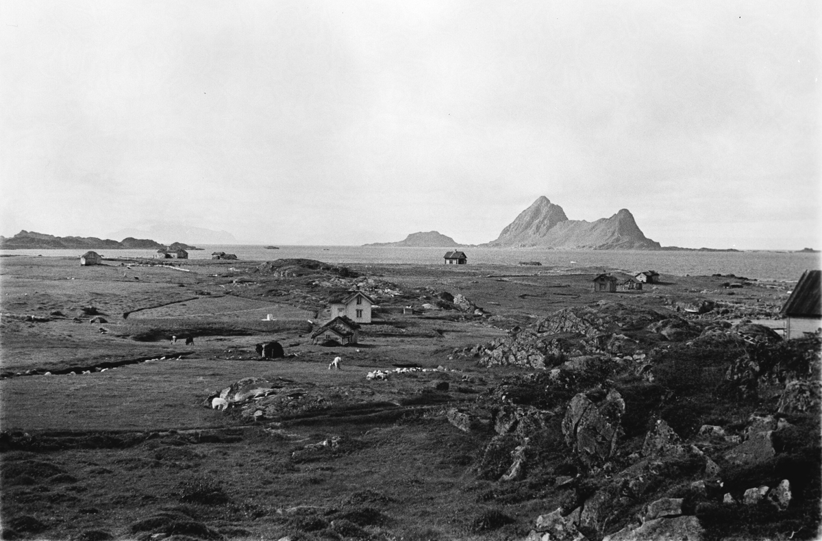 Kystlandskap hus og jorder ved fjorden og høye fjell rager opp av sjøen langt borte.