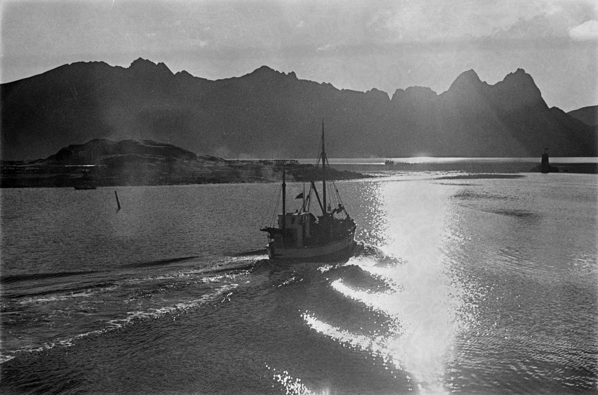 Fiskeskøyte i kveldssol og havblikk på vei inn fjorden.  Fjellrekke i bakgrunnen.