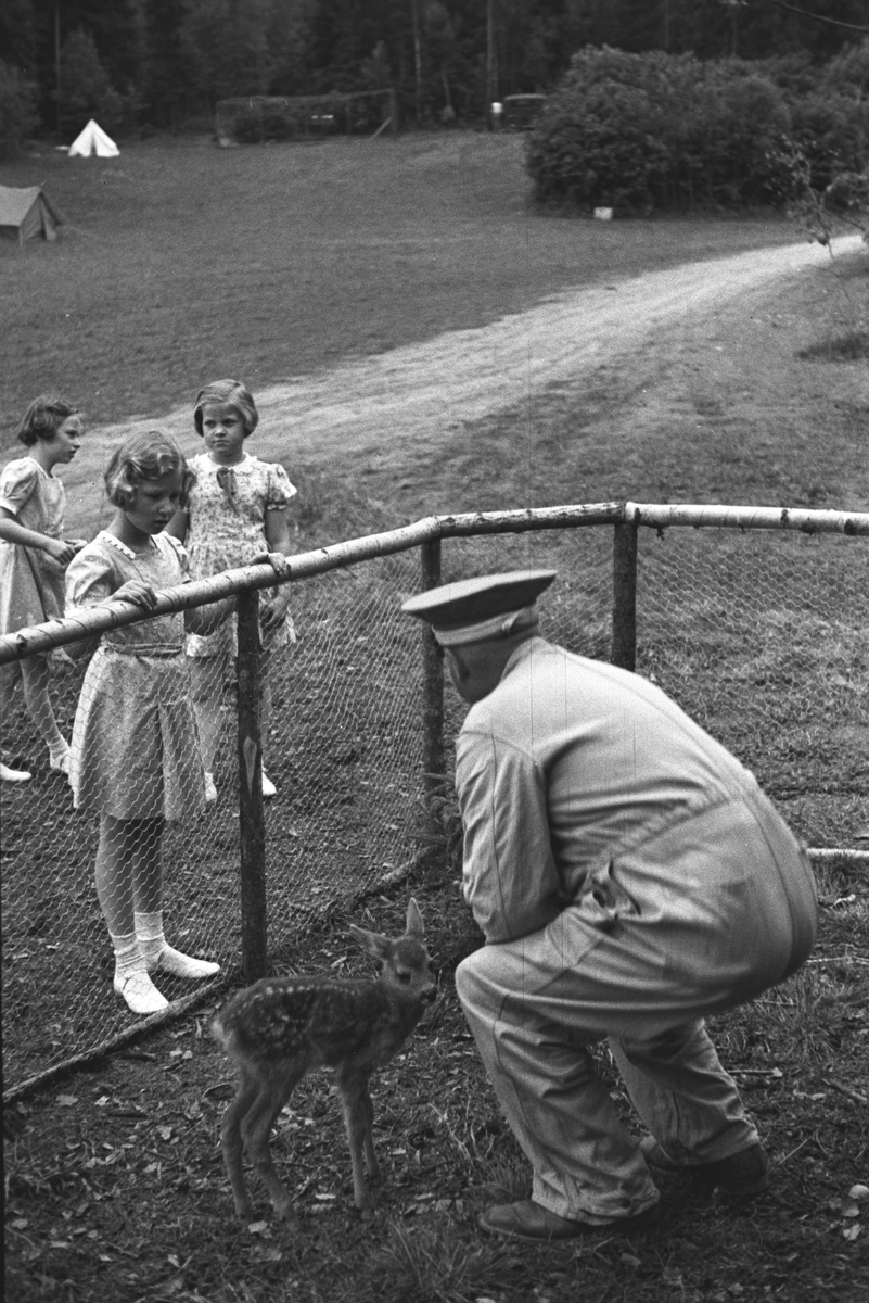 Prinsessene Ragnhild og Astrid på sommerleir ved Kongsvinger. Her ser de interessert på en dådyrkalv innenfor gjerdet.