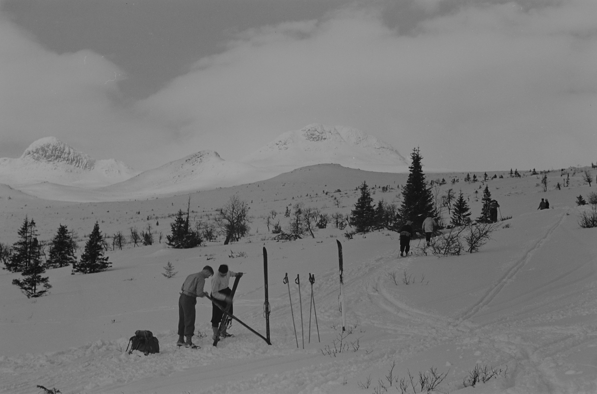 Fire påsketurister på ski. Fotografert 1940.