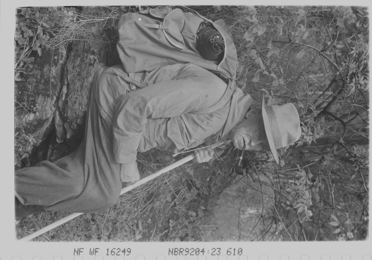 Fotografen tar en runde på hjemlige trakter.