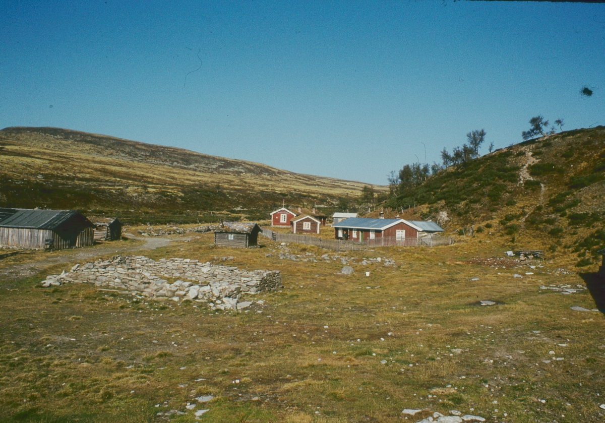 Rausjødalen setermeieri