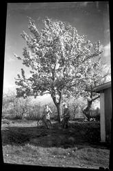 Par i Anders Karlssons trädgård