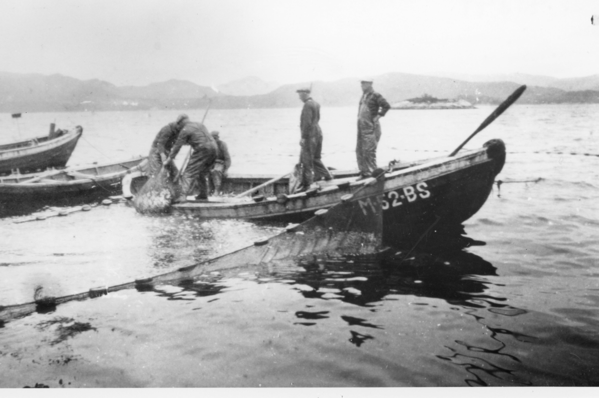 Notlag i lettbåter jobber med å få fisken over i båten.