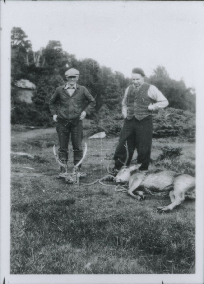 Finn Bruun (V) og Ingvar Klingenberg II (H) viser fram hjort etter jakt