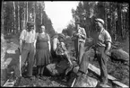 Vägbygget Ölsboda- Fågelåsen 1936