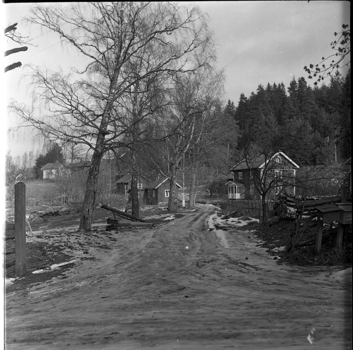 En isgata leder upp mot ett bostadshus och ett uthus. Träd står på gården som är omgärdad av en gärdsgård. På gärdsgården sitter två postlådor. Bostadshuset ligger intill skogsbrynet. Huset har en farstubro. 
I huset till vänster (ljus byggnad) bodde skräddare Gottfrid Lindberg med adress Stora Roten.
Huset till höger ägdes av Nils Nilsson med adress Stora Roten.