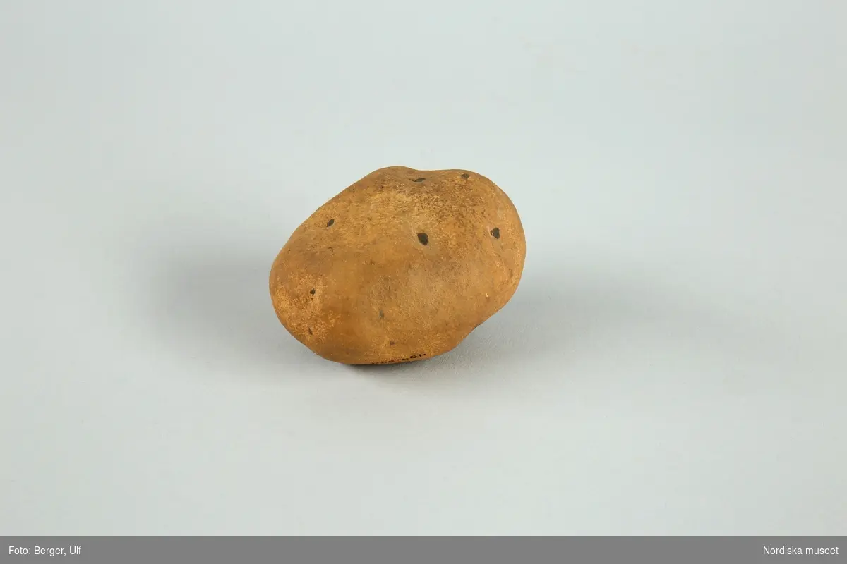 Potatis