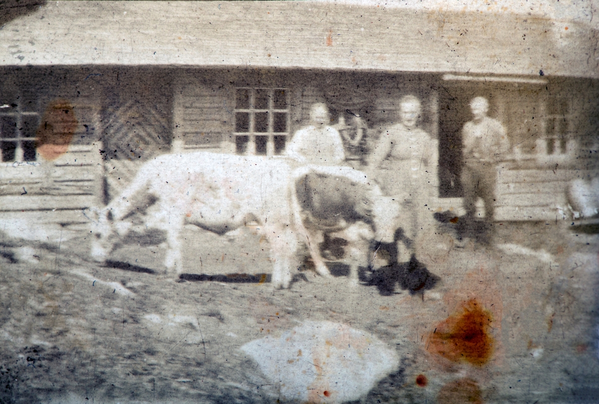 Rabstad (121/1). Fra Lavlia seter? Olea Karset til venstre, ukjent kvinne og mann. Ca. 1920.