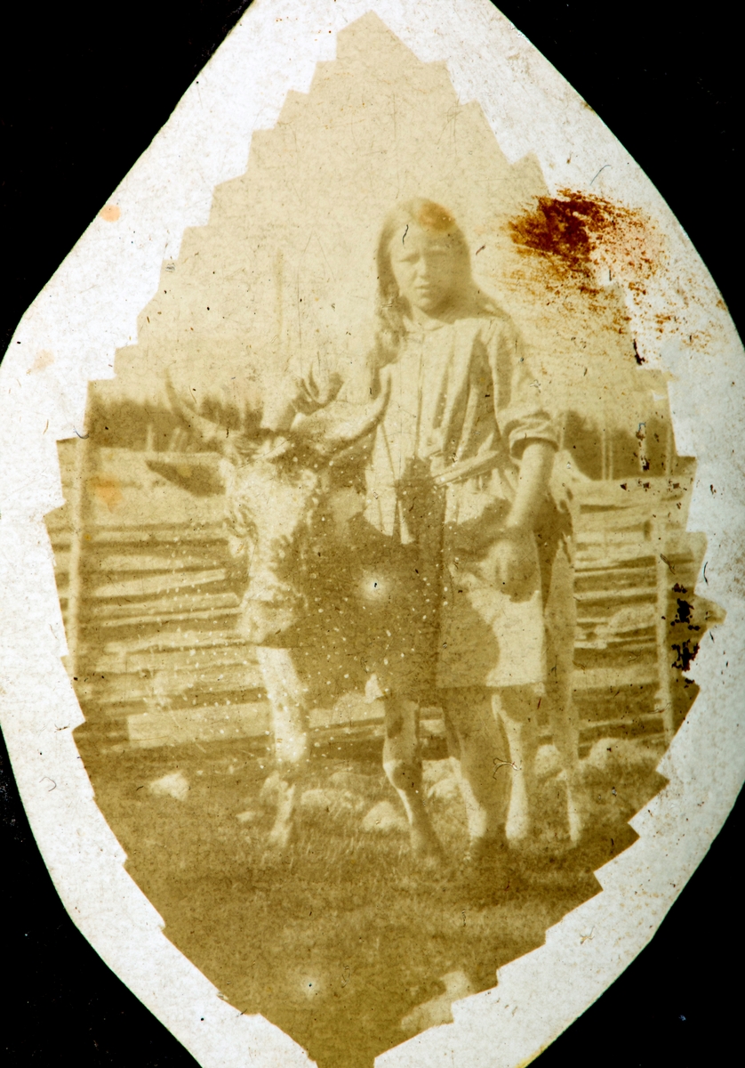 Karset (63/1). Pauline Karset og ku. Ca. 1920.