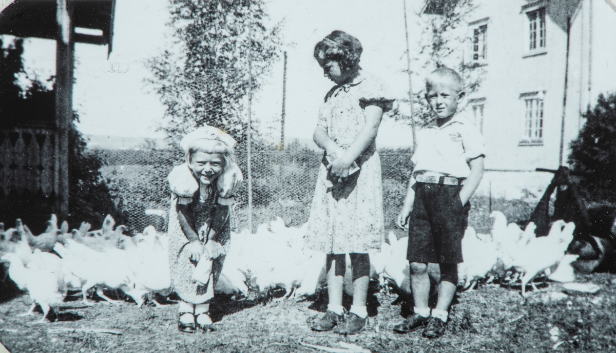 Øvre Tomter (60/1). Fra tunet på Øvre Tomter mellom føderådsbygningen (t.v.) og hovedbygningen. Helga Prestrud til venstre og Helge Andreas Prestrud til høgre. Jenta i midten er ukjent.  Hønseflokken ca. 20 høner går fritt inne på tunet.