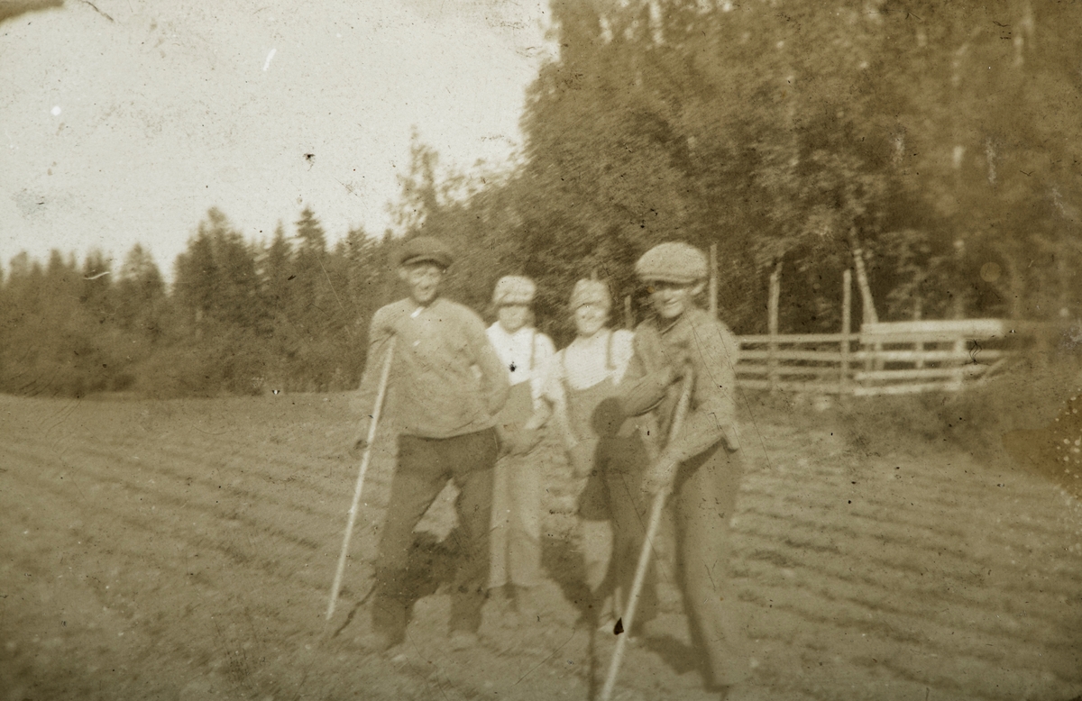 Karset (63/1). Kålrotrensking på Karset i 1920-åra. Fra venstre Eivind Kringsjå, Olea og Pauline Karset og Arne Kringsjå.