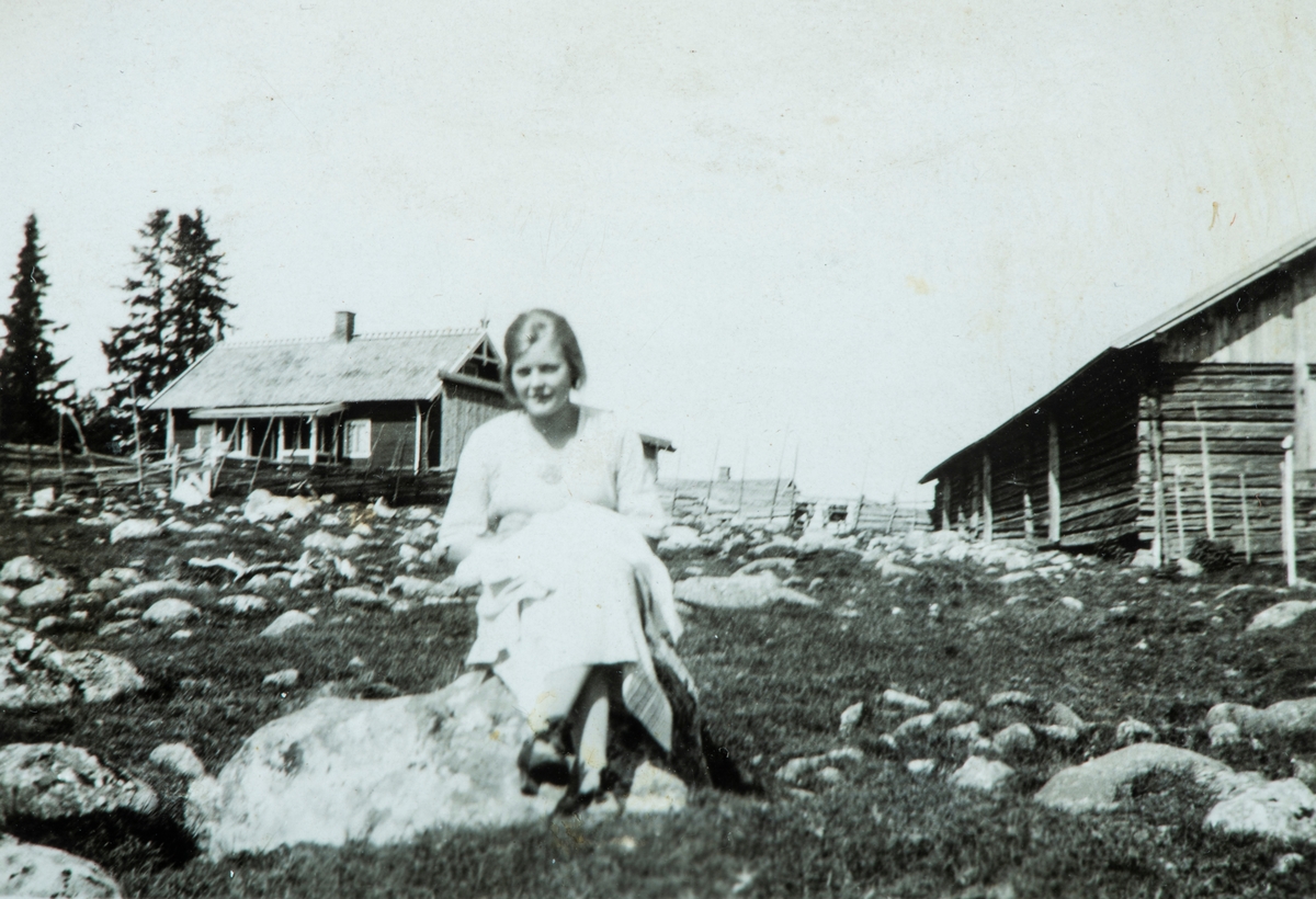 Øvre Tomter (60/1) Holsvillaen på Lavlia.  Helge Prestrud lånte seterhusene av Hafsal på Lavlia etter at hytta på Bringbu brant ned i 1944.