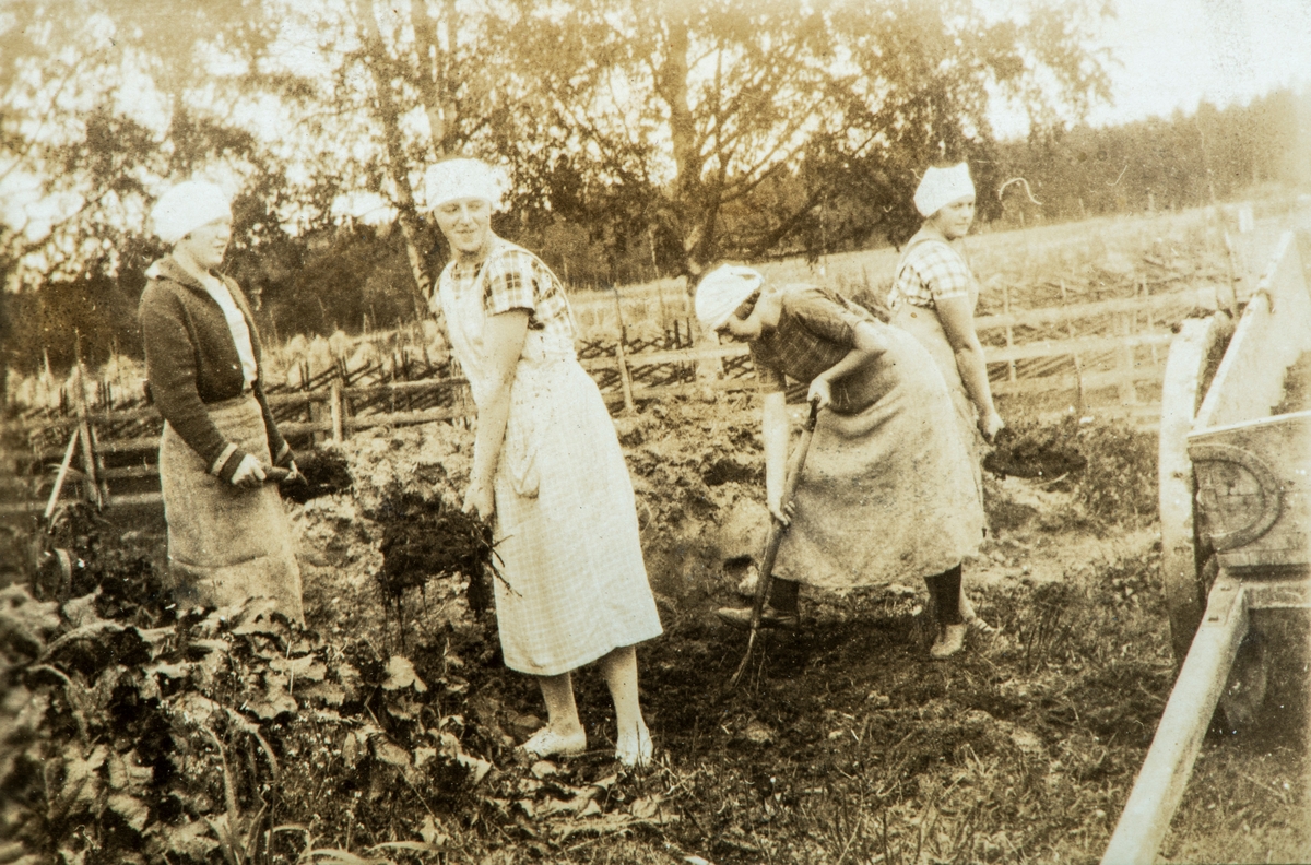 Karset (63/1). Fra Pauline Karsets tid på Elverum husholdningskole på mellom Houm i Heradsbygda i 1922. I 1907 ble det opprettet husholdningsskole på Østre Grundset, i 1916 flyttet til søndre Houm, i 1922 flyttet til mellom Houm og 1934 flyttet til Graff.
