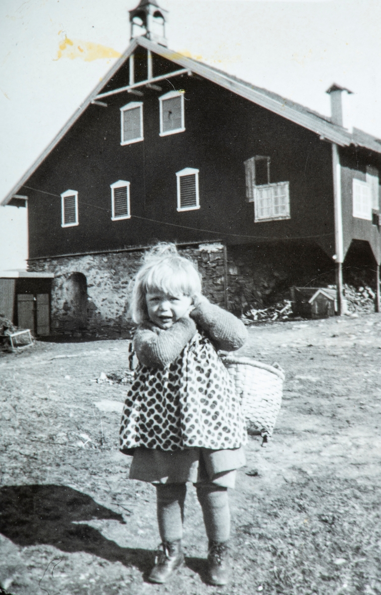 Øvre Tomter (60/1). Helga Prestrud med vedmeis. Låven på Øvre Tomter i bakgrunnen.