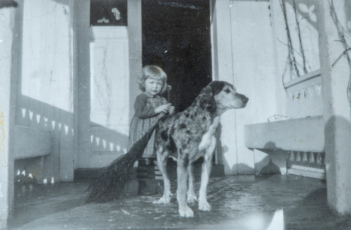 Øvre Tomter (60/1). Helga Prestrud og hunden Sille på verandaen på Øvre Tomter.