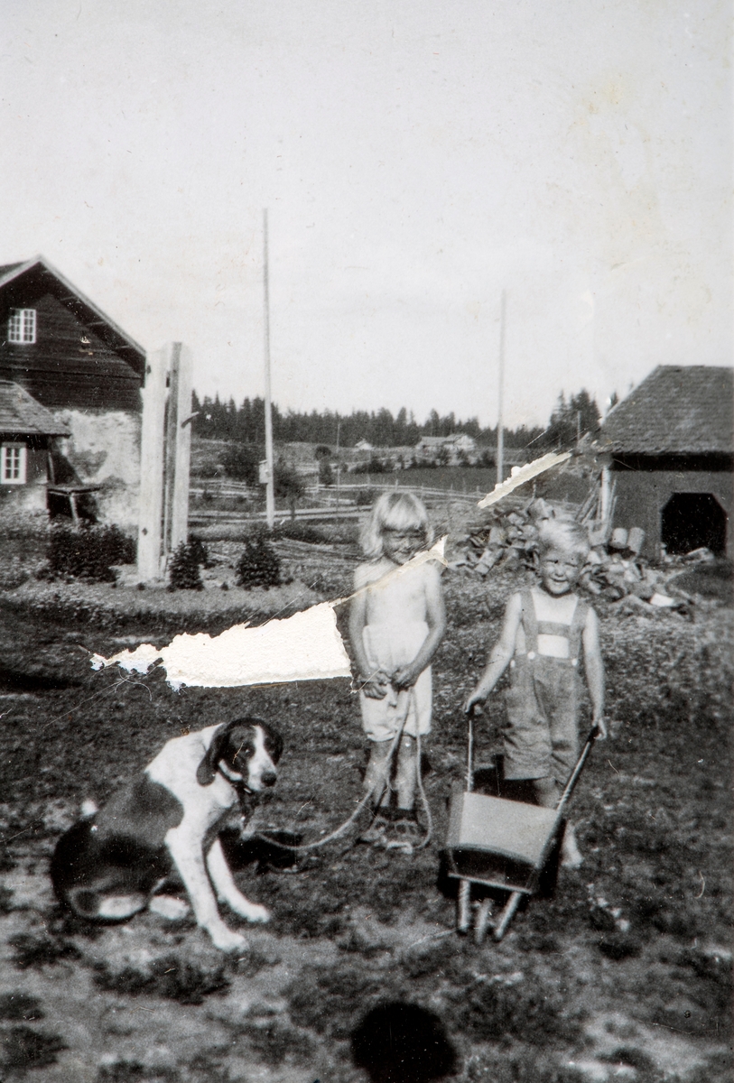 Øvre Tomter (60/1). Helga og Helge Andreas Prestrud på tunet på Øvre Tomter omkring 1936. Hunden Pan er med. I bakgrunnen t.v. gammelfjøset, t.h. vedskåledelen av drengestua. Holmsveen av Skråstad sees i bakgrunnen.