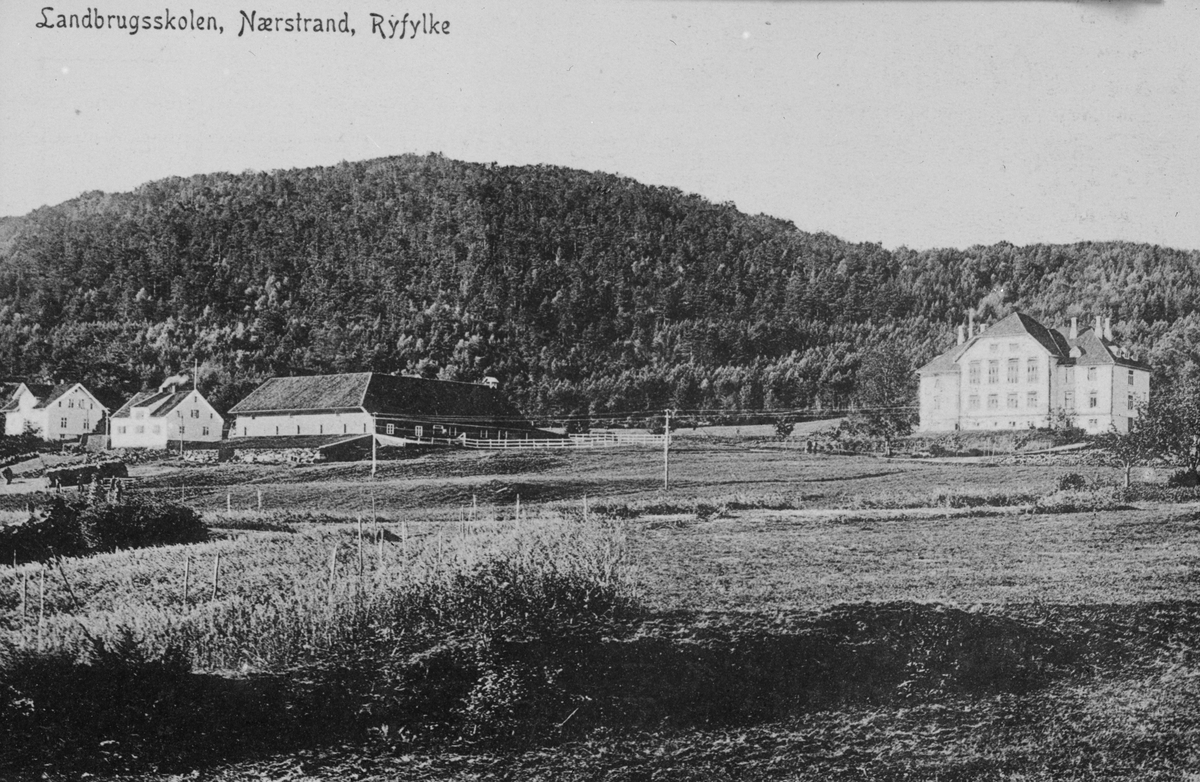 Stavanger amt landbruksskole. Nestrand i Ryfylke.