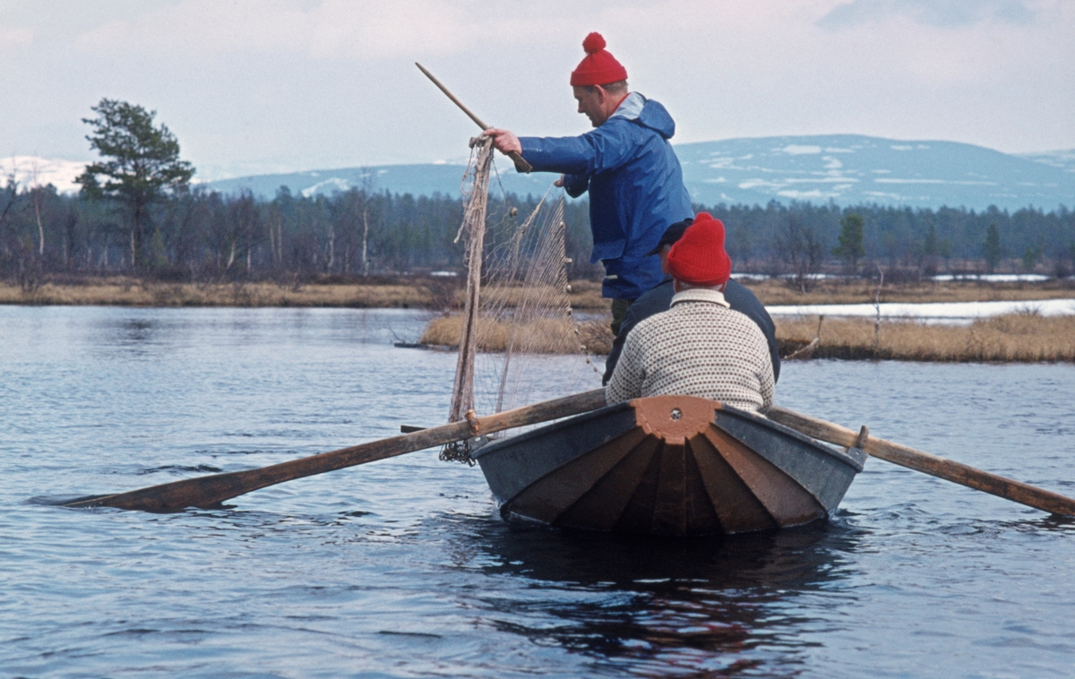 Gjeddefiske i deltaområdet der elva Tufsinga renner ut i innsjøen Femund. Lokaliteten ligger i Tufsingdalen i Os kommune i Nord-Østerdalen, bortimot 700 meter over havet. Fotografiet viser to menn som trakk et garn opp i en klinkbygd trebåt med tverr akterende. Vi vet foreløpig ikke hvem mannen som dro garnet var. Den som satt ved årene var «gjeddekongen» Joseph Bakken (1898-1989). Gjeddefisket i dette området foregikk i mai måned, like etter at isen på vassdragene hadde smeltet. Da trakk gjedda inn mot de sivbevokste grunnene langs land for å gyte. Der satte fiskerne garn skrått ut fra strandlinja. Det var et slikt garn som ble trukket da dette fotografiet ble tatt.