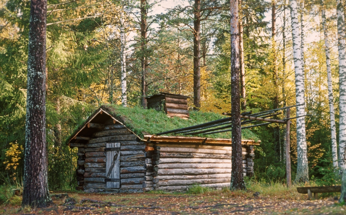 Røykebu og garntørkebu som tidligere sto på Grålodden ved innsjøen Femunden i Engerdal etter at den var flyttet til friluftsmuseet på Prestøya ved Norsk Skogbruksmuseum (nå Norsk skogmuseum) på Elverum. Bildet er tatt i oktober 1974, året etter at bua ble flyttet til museet.

I 1973 fikk Norsk Skogbruksmuseum overta ei røykbu som tilhørte brødrene Oddmund (1913-1993) og Ottar Riseth (1921-2003) fra Elgå på Femunds østside, mot å skaffe giverne ei ny bu.  Bua skulle først ha stått på Langodden på østsida av sjøen, drøyt tre kilometer nord for Elgå. Brødrene kunne fortelle at den var blitt flyttet til Grålodden, som også ligger på østsida av Femund, ei drøy mil nord for Elgå, i 1921.  Det var der Riseth-brødrene hadde sin fiskeplass.  Et fotografi Tore Fossum tok da han var på befaring på Grålodden i 1972 viser at nettbua og fiskebua til Riseth-brødrene sto tett inntil hverandre, gavl mot gavl, få meter fra strandsonen.  I mars 1973 ble røykbua merket og demontert av Helge Sandberg (1924-1989) og Georg Løvhaugen (1917-1980) fra Norsk Skogbruksmuseum.  Deretter sørget brødrene Riseth for at materialene ble transportert til Elgå med snøscooter.  Derfra ble alle komponenter kjørt til Elverum med lastebil, hvor røykbua ble gjenoppført påfølgende sommer.  Arbeidet ble sannsynligvis utført av de samme karene som hadde demontert bua da den sto på Grålodden.  Røykbua fra Grålodden ble plassert på Prestøyas vestside, like nord for bygningsmiljøet fra innlandsfiskeværet ved Sølensjøen, som ligger i samme region som Femund.  Det nye husværet som skulle tjene som erstatning til Riseth-brødrene ble også reist av museets håndverkere, men Femund Skogforvaltning spanderte tømmeret som ble brukt.
Bua er rigistrert i Norsk skogmuseums bygningssamling med registreringsnummer SJF-B.0005.