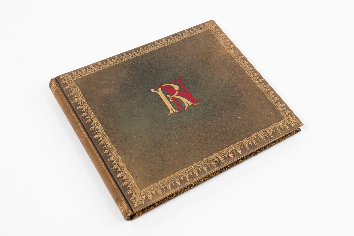 Fotoalbumet var ett present till Rudolf Nissen som var fartygschef på korvetten Balder under långresan 1894–95. Den upprättades av officerarna som deltog i resan som personligt minne för Rudolf Nissen. Albumet har en inband av grönt läder med ett präglat mönster i guld. På framsidan finns initialerna RN. Sidorna består av stark kartong med gulkant.

Motiven i albumet är framför allt personbilder som visar sjömanslivet och olika arbeten ombord på fartyget. Ett mindre antal bilder visar platser som besöktes under resan.