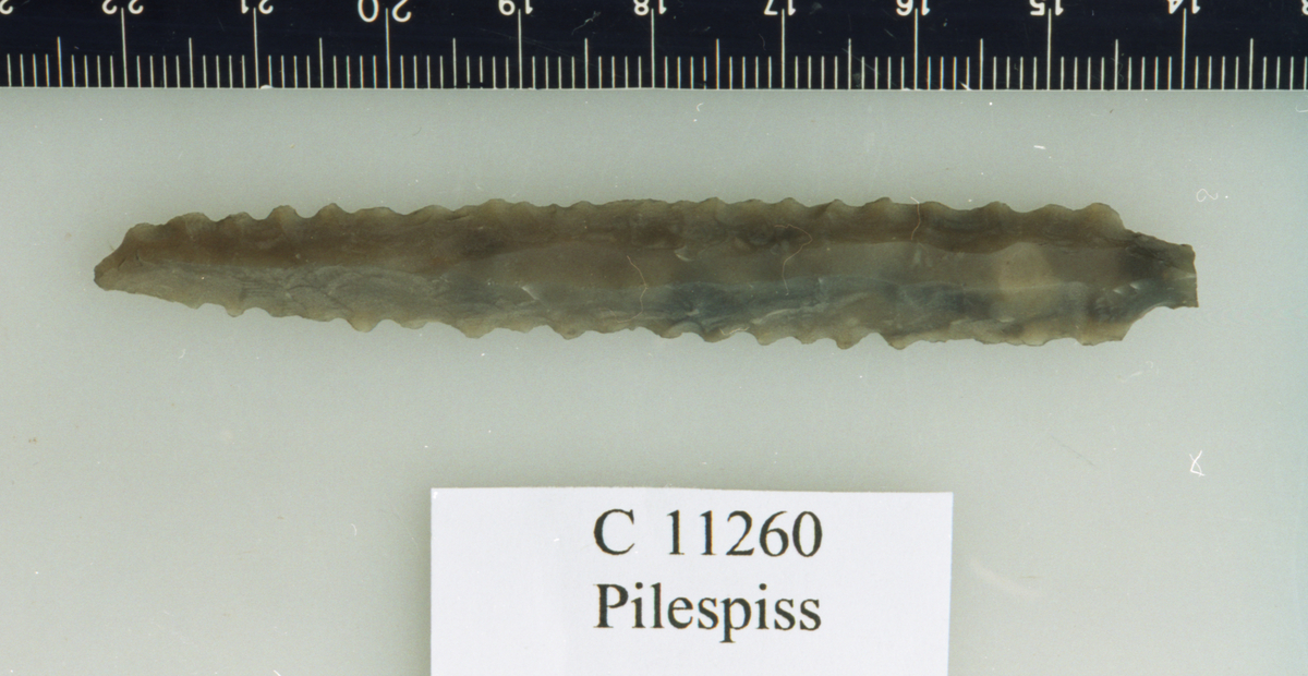 Pilespids af Flint, lig NO. 80, 8,4 cm. lang, men oprindelig lidt større. 11260.
F. ved Opdyrkning af en Myr paa Myrene i Berg Pgd., Smaalenene.