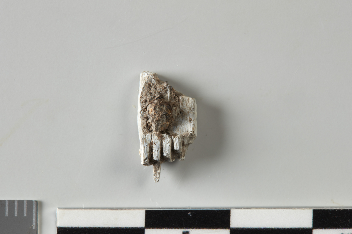 Fragment av kam av brent bein og jern, vekt 0,27 g. Fragmentet har bevart en liten bit av håndtaket og rester av fire tenner, samt en liten jernnagle som trolig har festet nok en beinplate til kammen; stl. 1,6 cm, stb. 1,3 cm, stt. 0,3 cm.