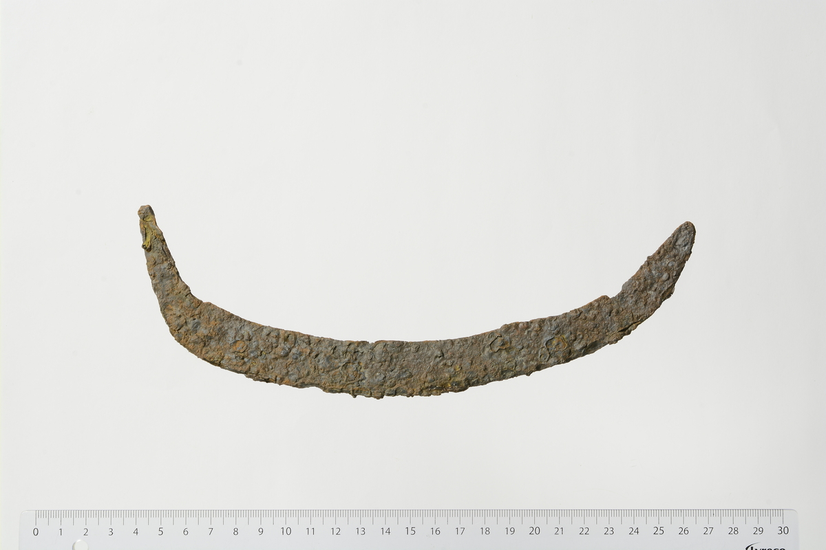 Sigd av jern med flat, avbrukket tange. Svakt buet blad. L. 27 cm, t. 0,5 cm, b. 2,2 cm. Vekt 86 g.